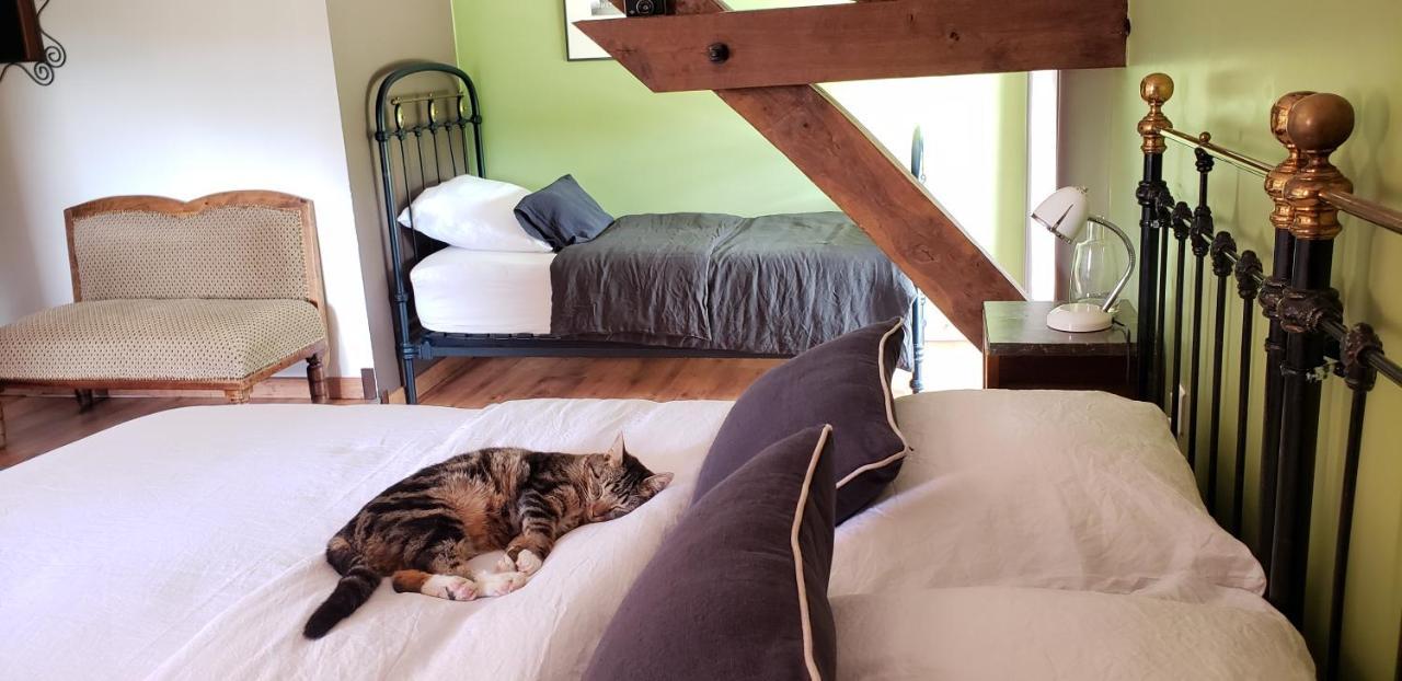B&B La Ferme De Loubens 外观 照片