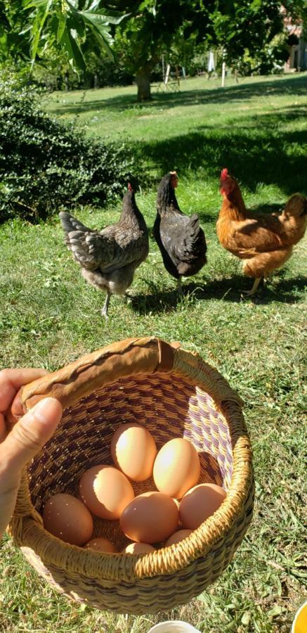 B&B La Ferme De Loubens 外观 照片