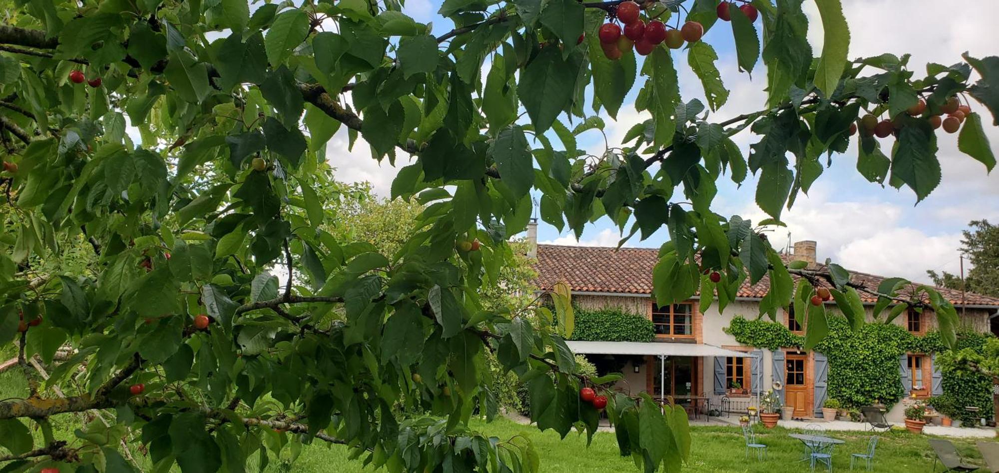 B&B La Ferme De Loubens 外观 照片